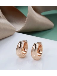 Серьги кольца