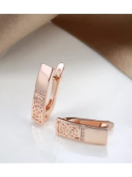 Серьги Двойной пластид